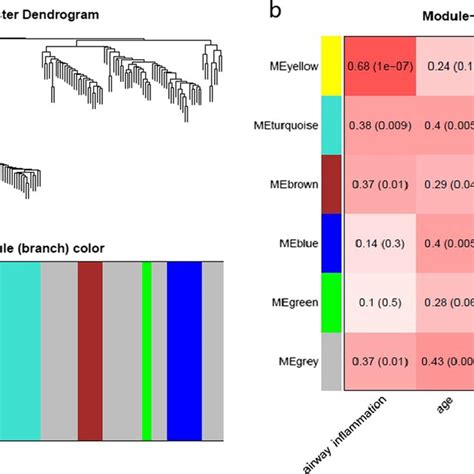 Construction Of Modules By Weighted Gene Coexpression Network Analysis