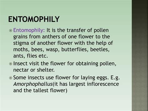 Ppt Topic Pollination Adaptations Powerpoint Presentation Id2312947