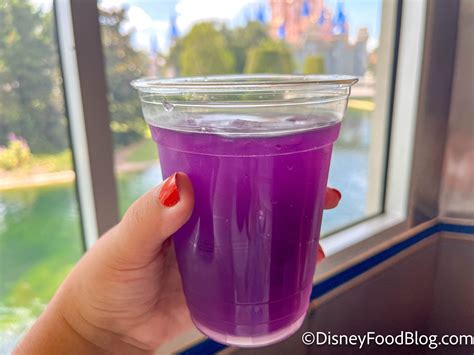 Review 3 Reasons You Should Go To Disney Worlds Busiest Restaurant