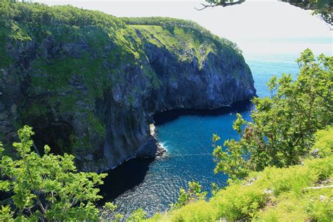 【北海道・知床・トレッキング】知床の大自然を満喫。知床原生林＆断崖絶景トレッキング｜アソビュー！