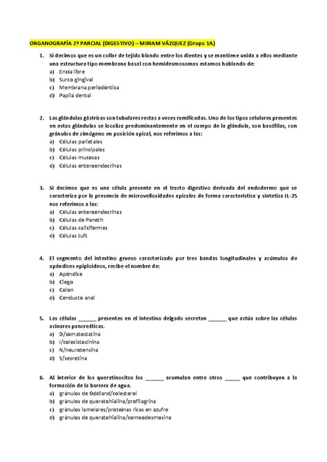 Organo Parcial Digestivo Organograf A Parcial Digestivo Miriam