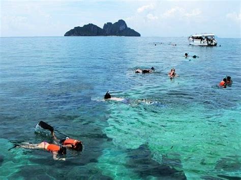 Snorkeling Pulau Rawa - EllekruwErickson