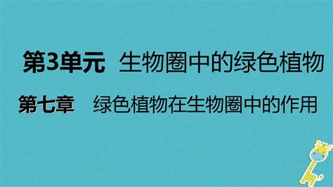 2018年七年级生物上册第三单元第七章第二节绿色植物与生物圈的物质循环课件新版苏教版 皮皮虾