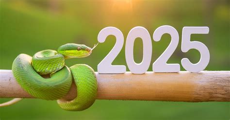 Зелёная Деревянная Змея: о символе 2025 года » Информационное агентство ...