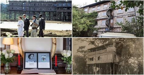 Treetops: Historic Kenyan Hotel Where Princess Elizabeth Became Queen ...