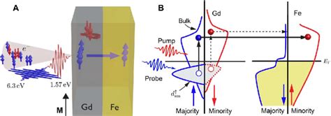 Ultrafast Spin Transport In A Ferrimagnetic Gd Fe Bilayer After