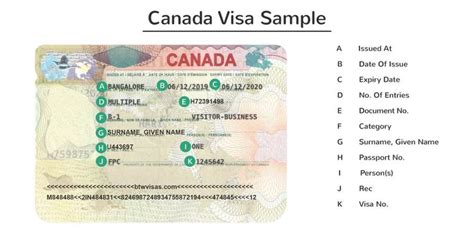 Canadian Visas for Indians: Types, Requirements, and Process | BTW