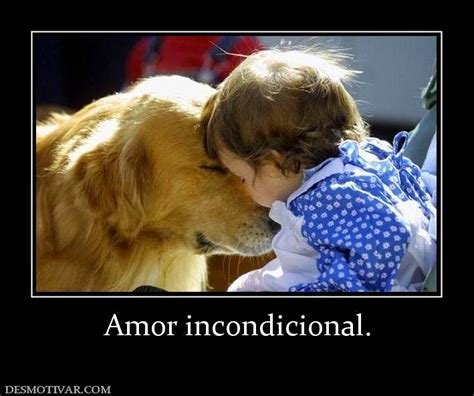 Imagenes De Amor Incondicional Imagenes De Amor Bonitas