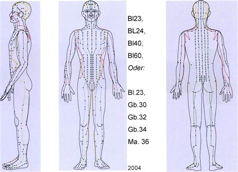 Akupunkturpunkte Akupunkturpunkte K Rperstellen Der Tcm Therapie
