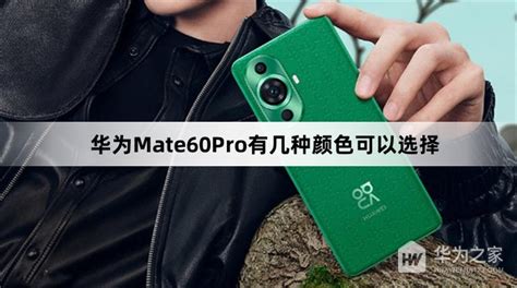 华为mate60pro有几种颜色 华为mate60pro配色介绍 华为之家