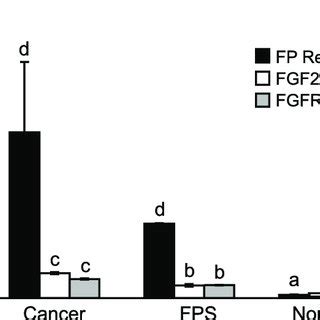 Fp Receptor Fgf And Fgfr Expression In Endometrial Tissue And