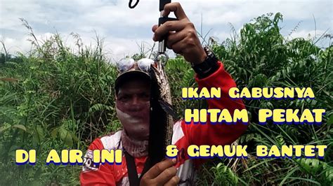 Perjuangan Mencari Spots Ikan Gabus Yang Melelahkan Ternyata Youtube