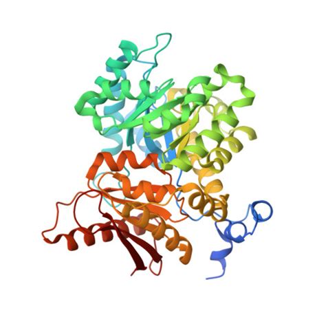 Gene P30613 Protein PKLR Overview CanSAR Ai