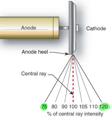 Xray Phys Lec Anode Heel Effect Xray Production Flashcards Quizlet