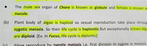 The Male Sex Organ Of Chara Is Known As Globule And Female Is Known A Nuc