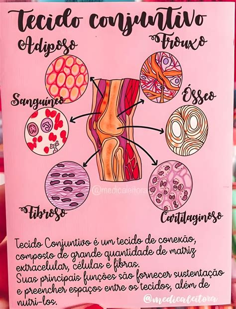 Tecido Conjuntivo Humano