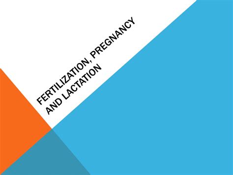 Ppt Fertilization Pregnancy And Lactation Powerpoint Presentation