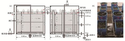 不同曝气方式对人工湿地细菌多样性、代谢活性及功能的影响