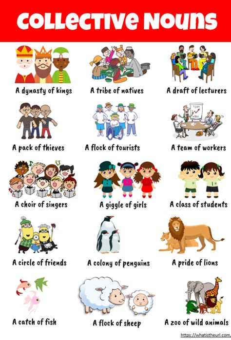 Collective Nouns Collective Nouns