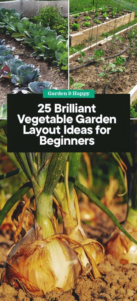 Vegetable Gardening For Beginners The Basics Of Planting Starter