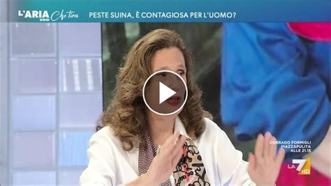 Peste suina la scienziata Ilaria Capua È un virus maledetto molto