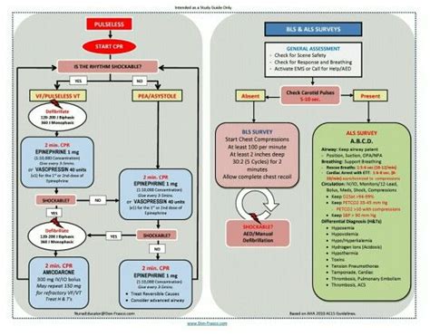 Acls Pulseless Arrest Algorithm And Blsals Surveys Based On Aha 2010