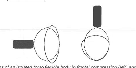 Figure 3 From Mathematical Human Body Models Representing A Mid Size Male And A Small Female For