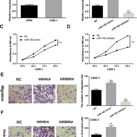 Overexpression Of Mir 192 Promoted Cell Viability And Metastasis In