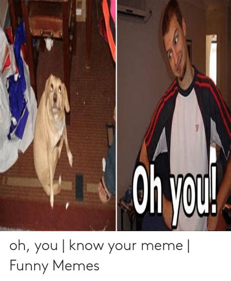 Oh You Meme Dog