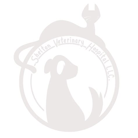 Veterinarian Symbol Png