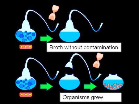 Negative Control Group | Definition & Examples - Lesson | Study.com