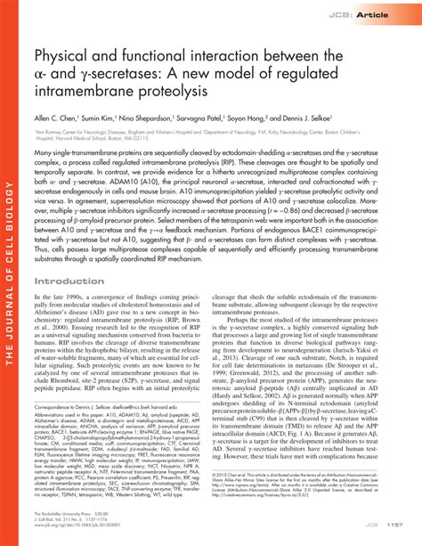 PDF Physical and functional interaction between the α and γ