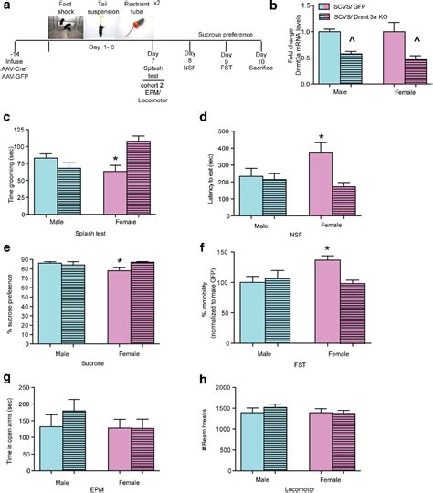 Figure 5 From Sex Differences In Nucleus Accumbens Transcriptome Profiles Associated With