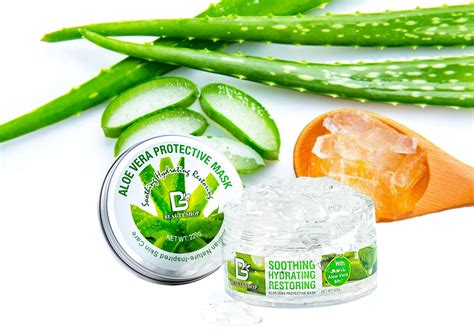 aloe vera plant hair mask 2