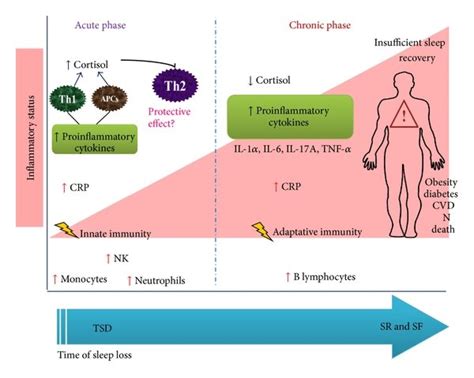 Sleep Loss Promotes A Low Grade Proinflammatory Status Sleep Loss Is