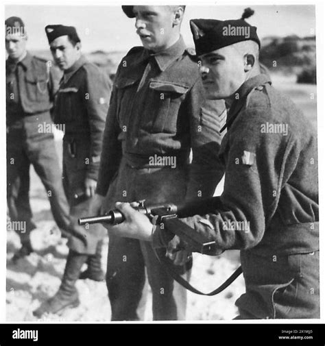 Training French Volunteers In North Africa Under The Eyes Of British