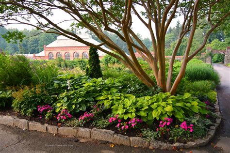 Winter Conservatory Tour Biltmore Estate ⋆ Shawna Coronado