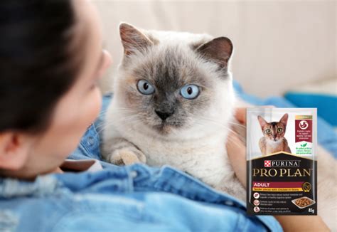 PRO PLAN Adult Chicken Wet Cat Food Pouch Product Review