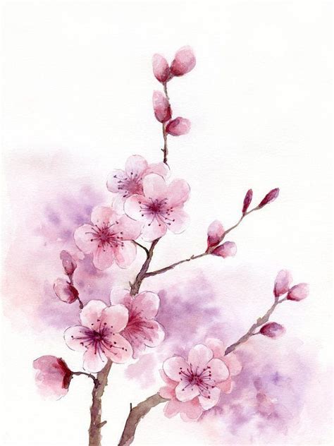 Pin by ƝαjƖα on ƈհεɾɾყ ჩმჩყ Cherry blossom watercolor Cherry blossom