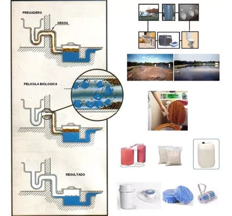 Bacterias Enzimas Tratamiento Fosas Septicas Biodigestores