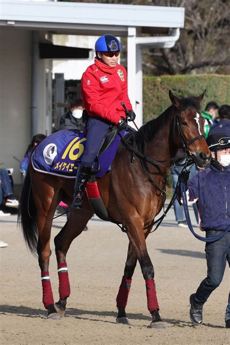 【高松宮記念】メイケイエール1週前追い切りでしっかり折り合う 池添謙一騎手は「落ち着いていました」 Umatoku 馬トク