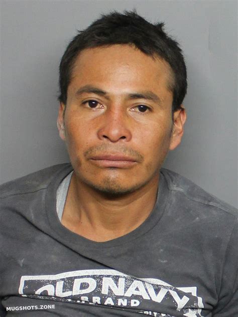 Deleon Cedillo Tito Ambrosao Charlotte County Mugshots Zone