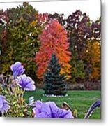 colors  autumn photograph  randy rosenberger fine art america