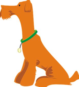 8+ Free Dog Orange & Dog Vectors - Pixabay