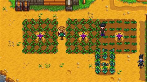 Best Spring Crops In Stardew Valley - GameSpot