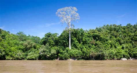 Mahakam River | Jokar Photography blog