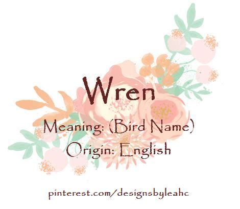 Baby Girl Name Wren Meaning Bird Name Origin English Baby