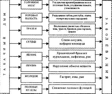 Организм Человека Схема Фото Telegraph