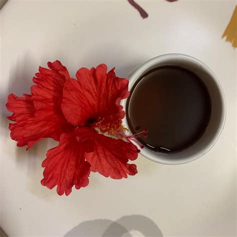 This Video Explains About Making Hibiscus Tea