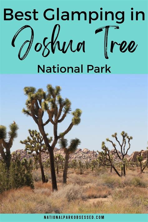 Joshua Tree Glamping: 16 Best Glamping In Joshua Tree National Park In ...